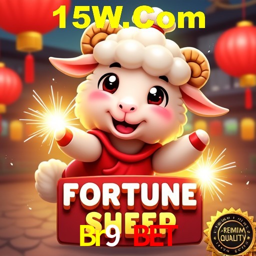 Interface do App Br9 Bet