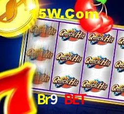 Descubra a Essência do Br9 Bet: Nossa História e Compromissos